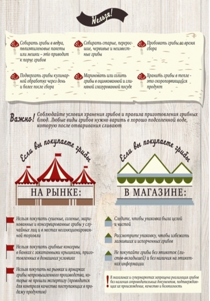 О съедобности различных грибов