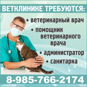 Расскажите о себе...