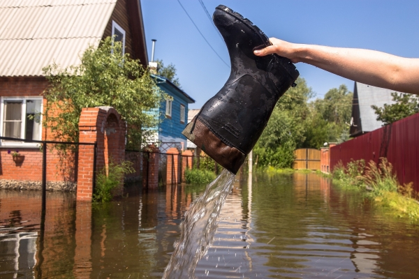 Дачи под Зеленоградом спасают от затопления