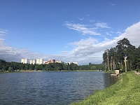 Зеленоградцам временно не рекомендуют купаться на Школьном озере