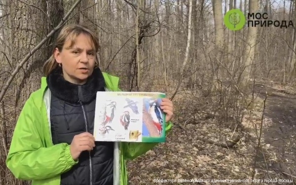 Режим самоизоляции позволил Мосприроде привлечь в 3 раза больше участников к экомероприятиям