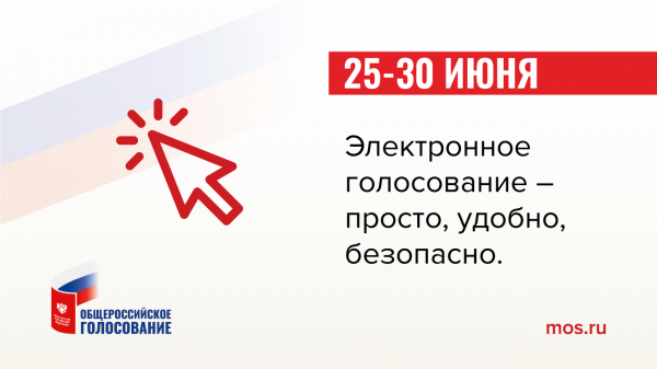 Как обеспечивается безопасность электронных выборов