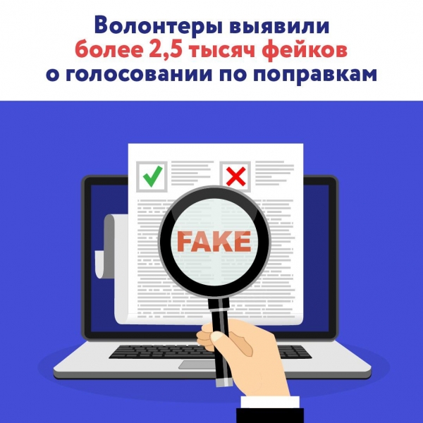 Волонтеры Общественной палаты выявили более 2,5 тысяч фейков о голосовании
