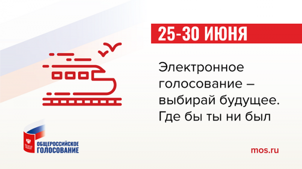 Как развивалось электронное голосование в Москве 