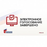 Электронное голосование в Москве и Нижнем Новгороде завершилось с высокой явкой