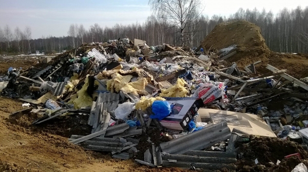 Почти 11 млн рублей заплатит бизнесмен за свалку под Зеленоградом
