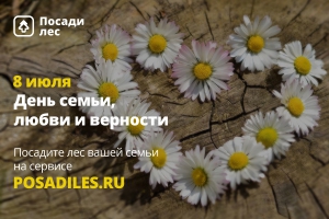 Семейный лес