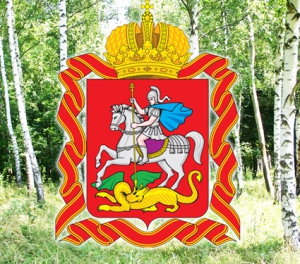 Незаконным свалкам бой!