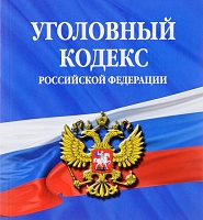 В УК внесены изменения в связи с принятием закона о службе в органах принудительного исполнения