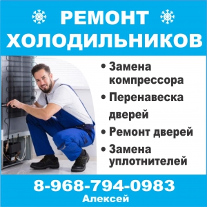 Холодильник то же "домашний"