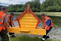 Домики для птиц установят на зеленоградских прудах 
