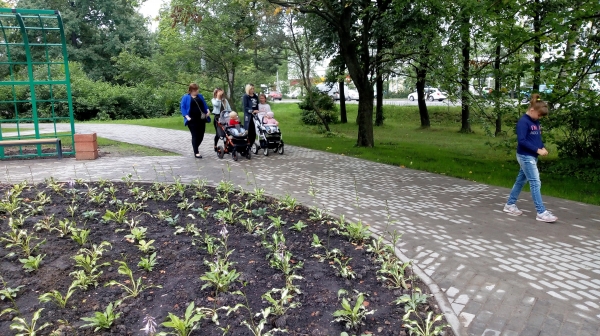 В Зеленограде отложили благоустройство трех скверов