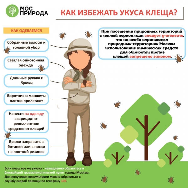 Началась вторая фаза активности кровососов
