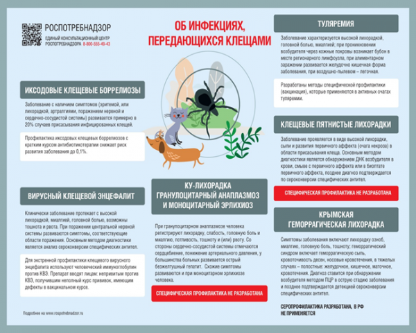 Об инфекциях передающихся клещами