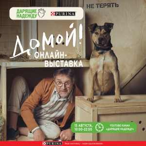 В День бездомных животных вы можете выбрать себе питомца онлайн