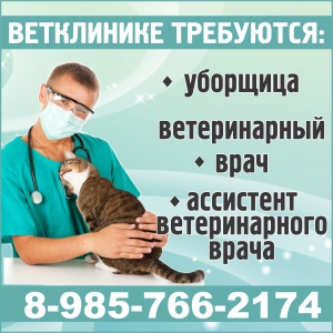Вакансия