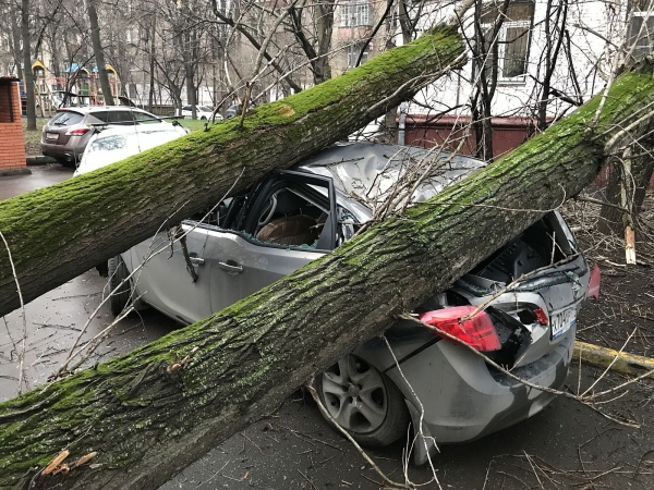 В префектуре подсчитали убытки от минувшего ливня
