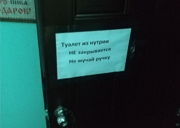 17 неграмотных горемык, которым не знакомы правила грамматики и филологии