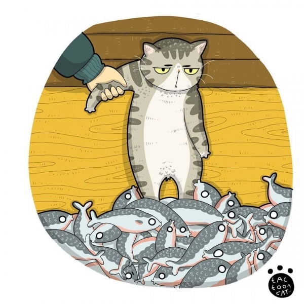 20 иллюстраций художника, который рисует вирусные снимки мемных котов. И его работы смешат не меньше оригинала