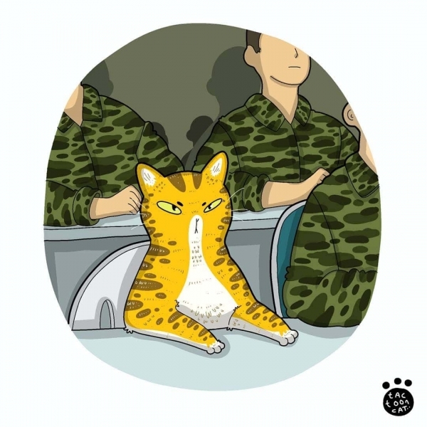 20 иллюстраций художника, который рисует вирусные снимки мемных котов. И его работы смешат не меньше оригинала