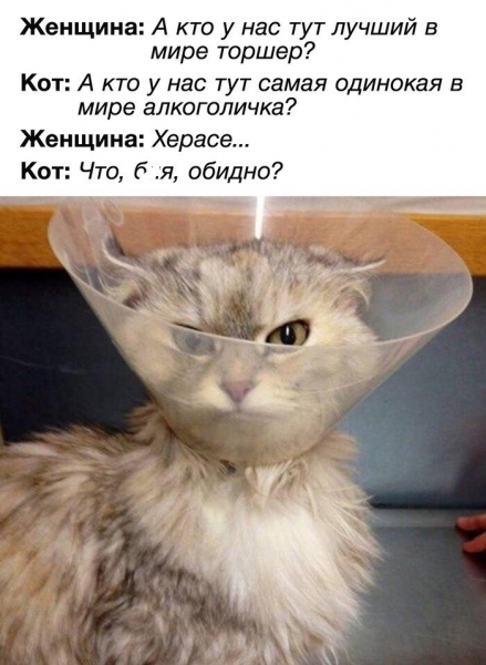 Одиночество — сволочь, одиночество — скука: А как вы справляетесь с этим чувством?