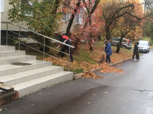 Осенняя уборка - ГКБ Кончаловского