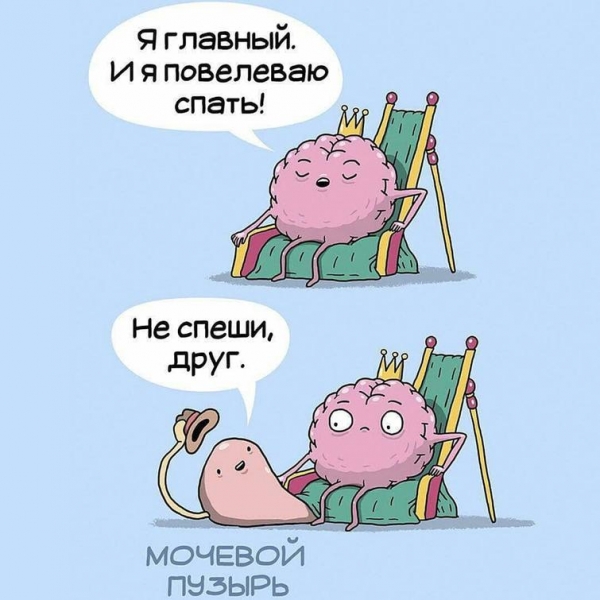 10 смешных комиксов, рассказывающих о тяжёлой жизни человеческих органов