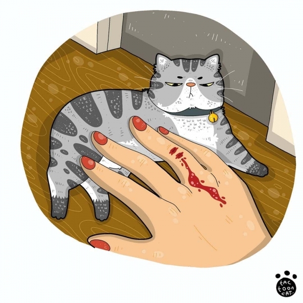 20 иллюстраций художника, который рисует вирусные снимки мемных котов. И его работы смешат не меньше оригинала