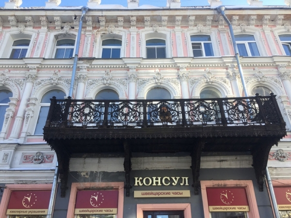 18 примеров собак, которые не просто любимцы хозяев, а настоящие члены семьи