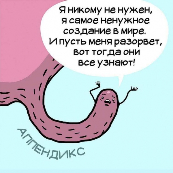 10 смешных комиксов, рассказывающих о тяжёлой жизни человеческих органов