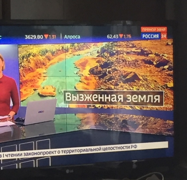 17 неграмотных горемык, которым не знакомы правила грамматики и филологии