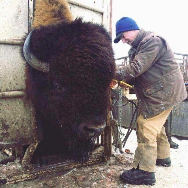 19 фото, показывающих, что многие вещи и животные намного больше, чем мы привыкли думать