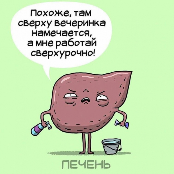 10 смешных комиксов, рассказывающих о тяжёлой жизни человеческих органов