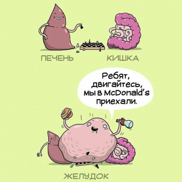 10 смешных комиксов, рассказывающих о тяжёлой жизни человеческих органов
