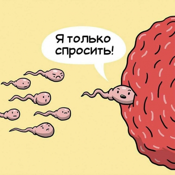 10 смешных комиксов, рассказывающих о тяжёлой жизни человеческих органов