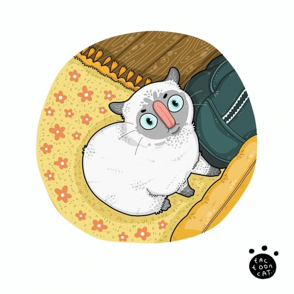 20 иллюстраций художника, который рисует вирусные снимки мемных котов. И его работы смешат не меньше оригинала