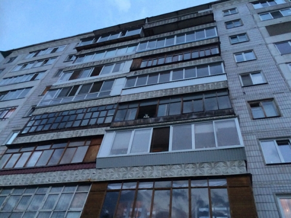 18 примеров собак, которые не просто любимцы хозяев, а настоящие члены семьи