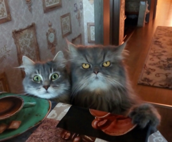 15 фотографий пар, мимо которых пройти мимо и не заметить практически невозможно