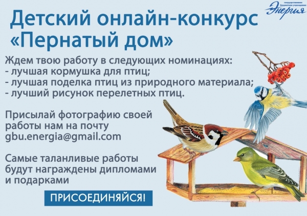 В Зеленограде проведут детский онлайн-конкурс «Пернатый дом»