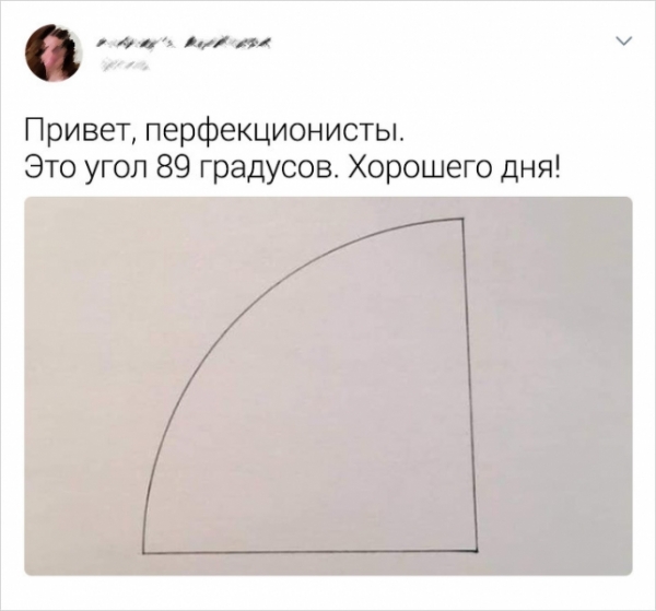 15 фотографий от настоящих гуру троллинга, которым не занимать фантазии и оригинальности