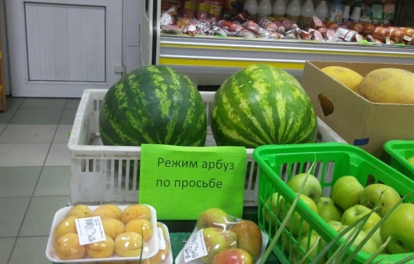 17 неграмотных горемык, которым не знакомы правила грамматики и филологии