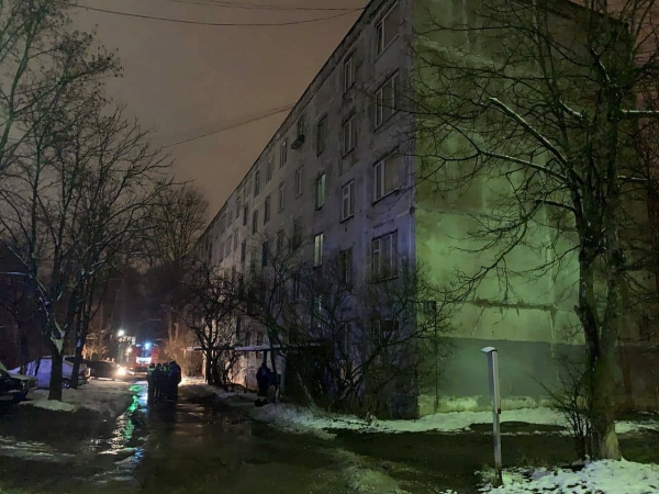 При пожаре в Менделеево пострадали дети