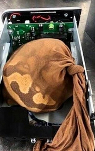 18 случаев, когда пассажиры взяли в самолёт настолько странные вещи, что и в голову не придёт