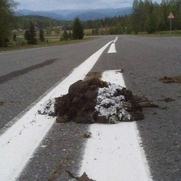 Беспилотные автомобили никогда не заменят водителей: пост о нереальной разметке
