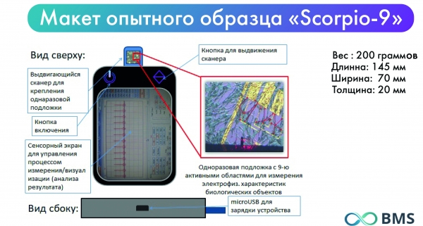 Энергия клетки – таймер смерти