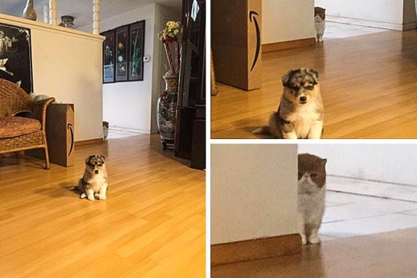 20 фото, глядя на которые не перестаешь смеяться