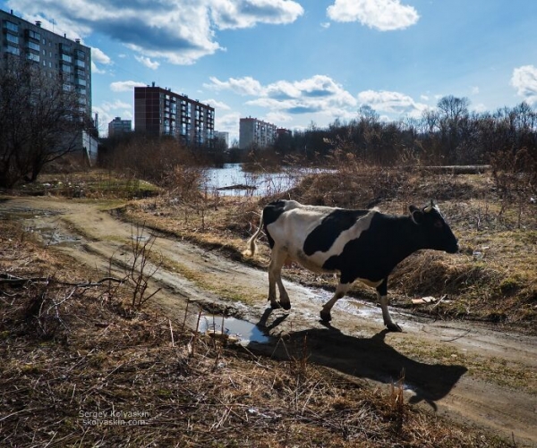 Фотограф из Челябинска показывает повседневность России с честной и неожиданной стороны