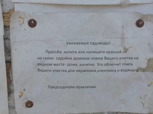 16 объявлений, составители которых имеют нестандартное мышление либо особое чувство юмора
