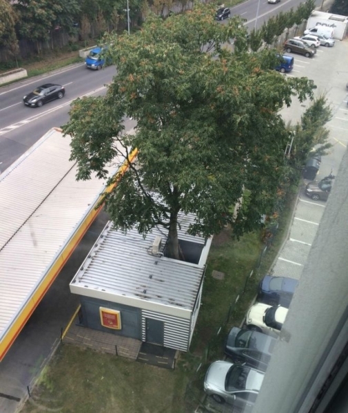22 раза, когда кто-то проявил такое уважение к природе, которого она заслуживает