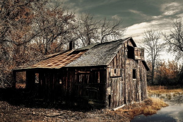 Под Зеленоградом снесли заброшенную амбулаторию